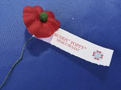 image of a poppy